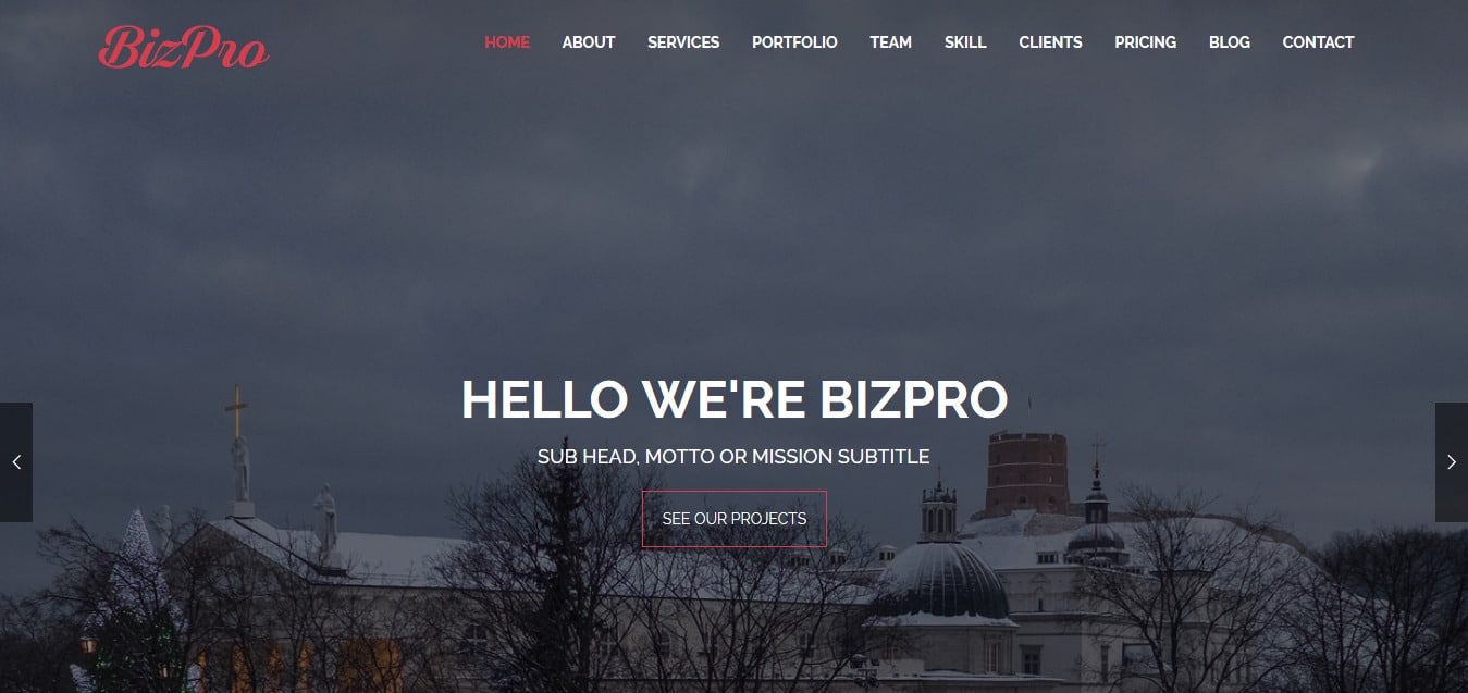 BizPro-Free -Startup-Website-Templates