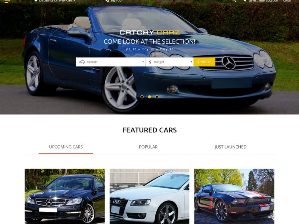 Classified_ads_templates-Catchy-carz