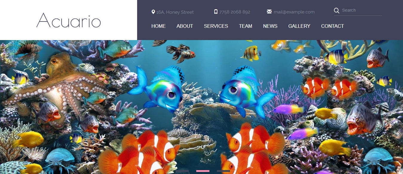 animal-and-pets-website-template-acuario