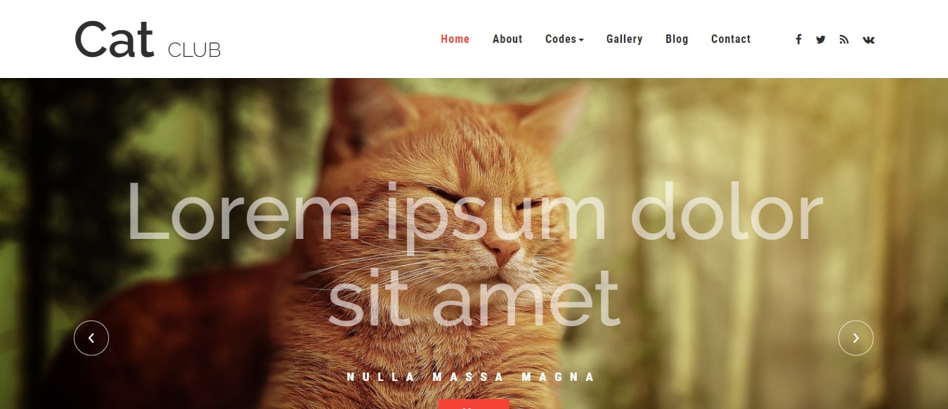 animal-and-pets-website-template-cat-club