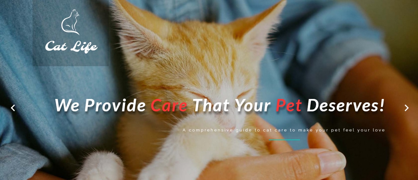 animal-and-pets-website-template-cat-life