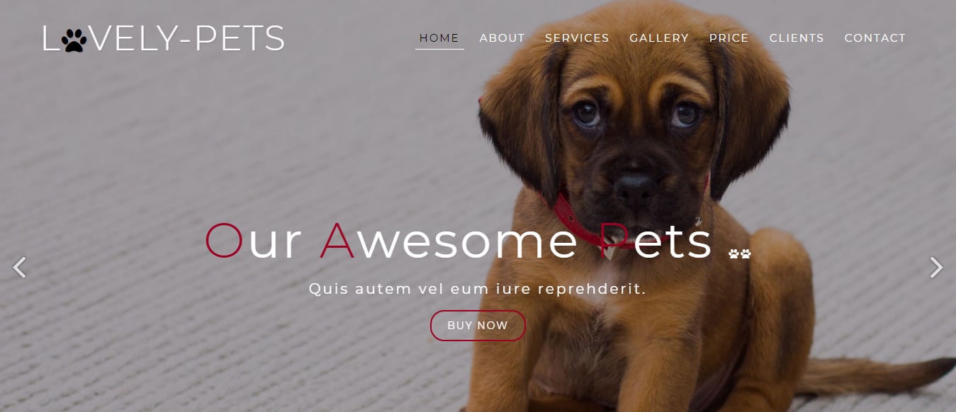animal-and-pets-website-template-lovely-pets