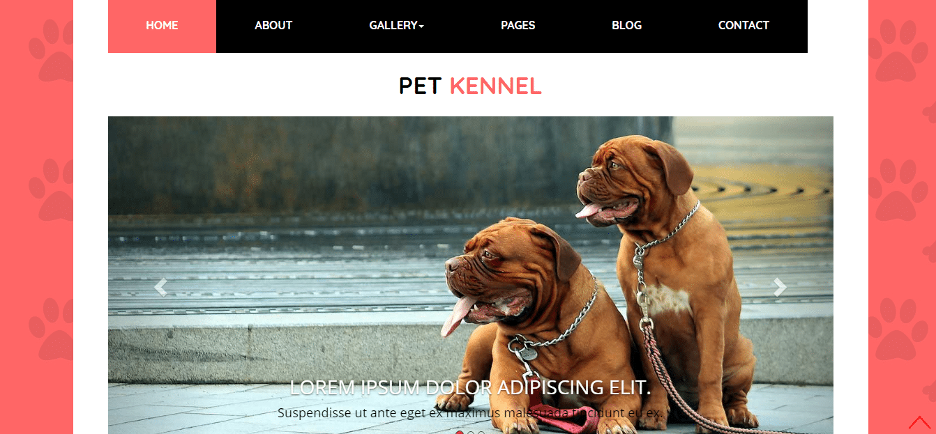 animal-and-pets-website-template-pet-kennel