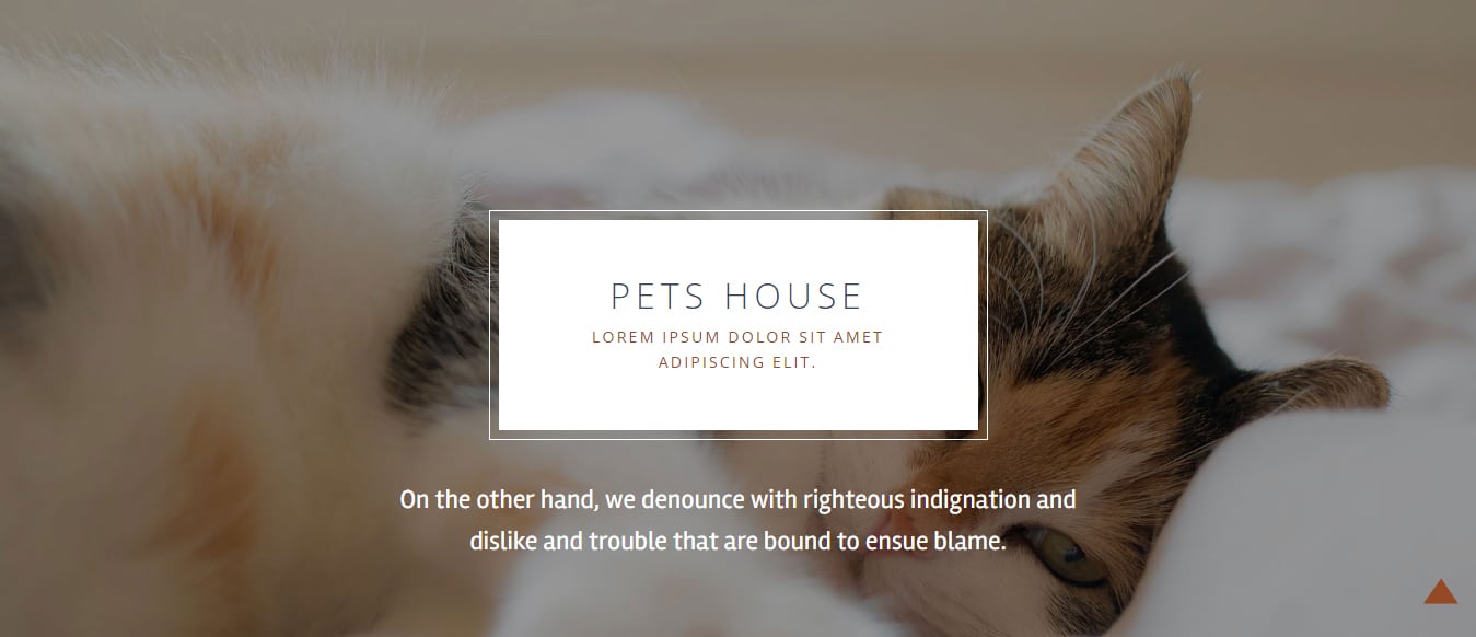animal-and-pets-website-template-pets-house