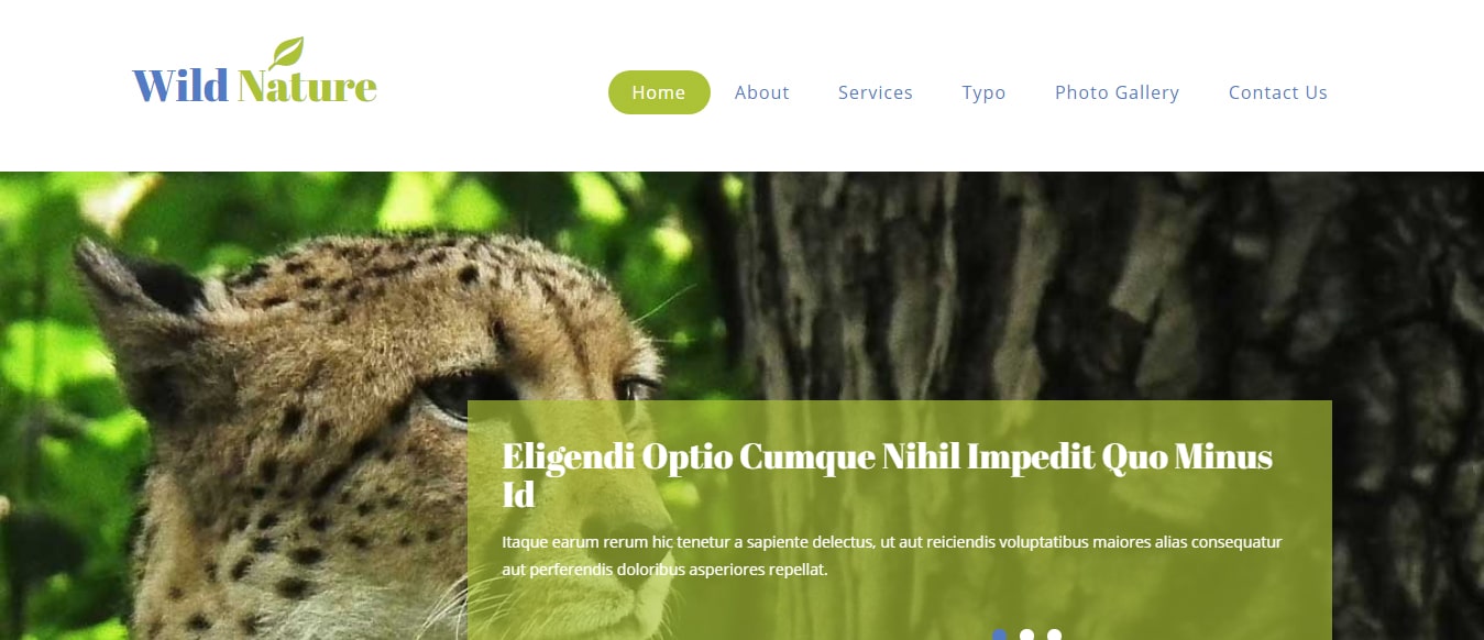 animal-and-pets-website-template-wild-nature