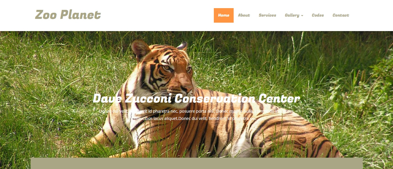 animal-and-pets-website-template-zoo-planet