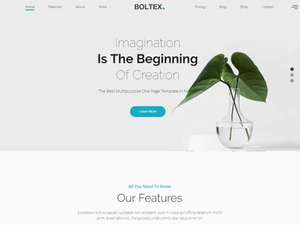 boltex simple website template