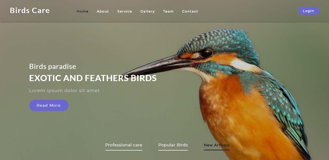 birds-care-animal-and-pet-website-template