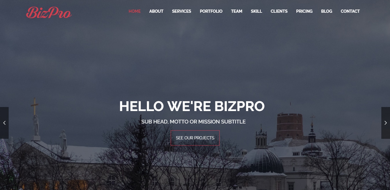bizpro-free-one-page-website-template
