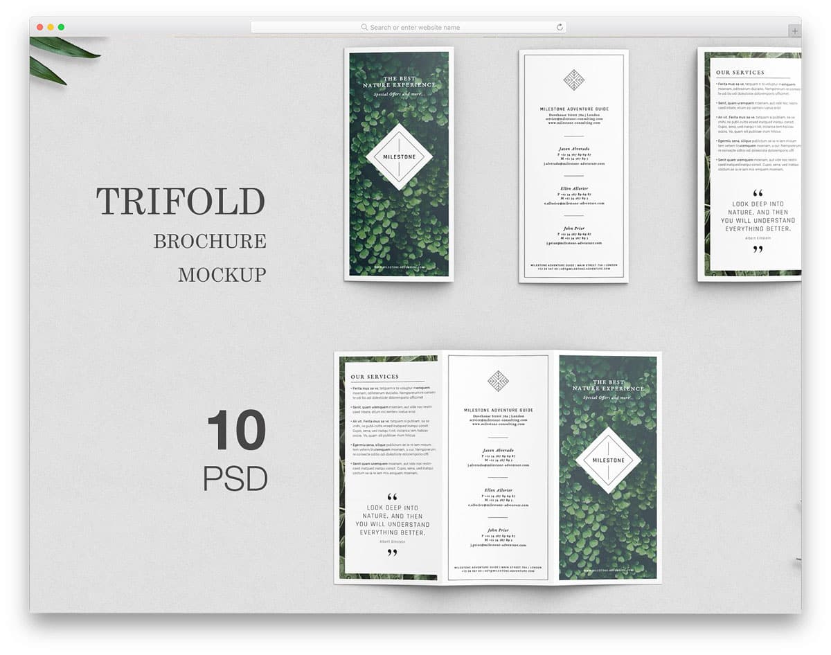 Trifold-Brochure-Mockups
