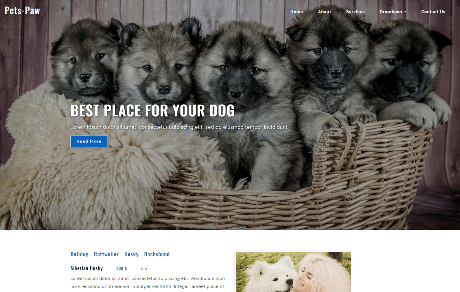 pets_paw-animal-pet-website-template