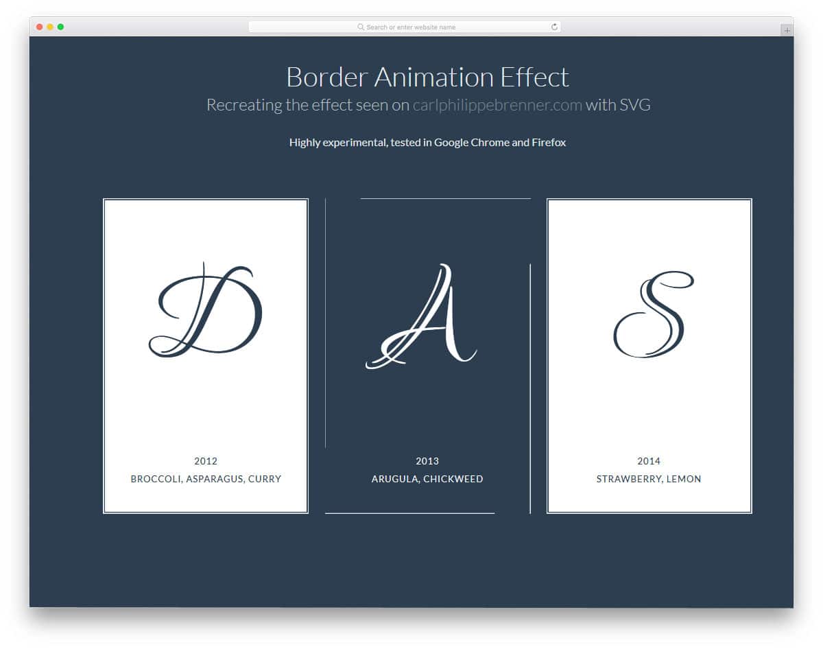 Border-Animation-Effect-With-SVG-And-CSS