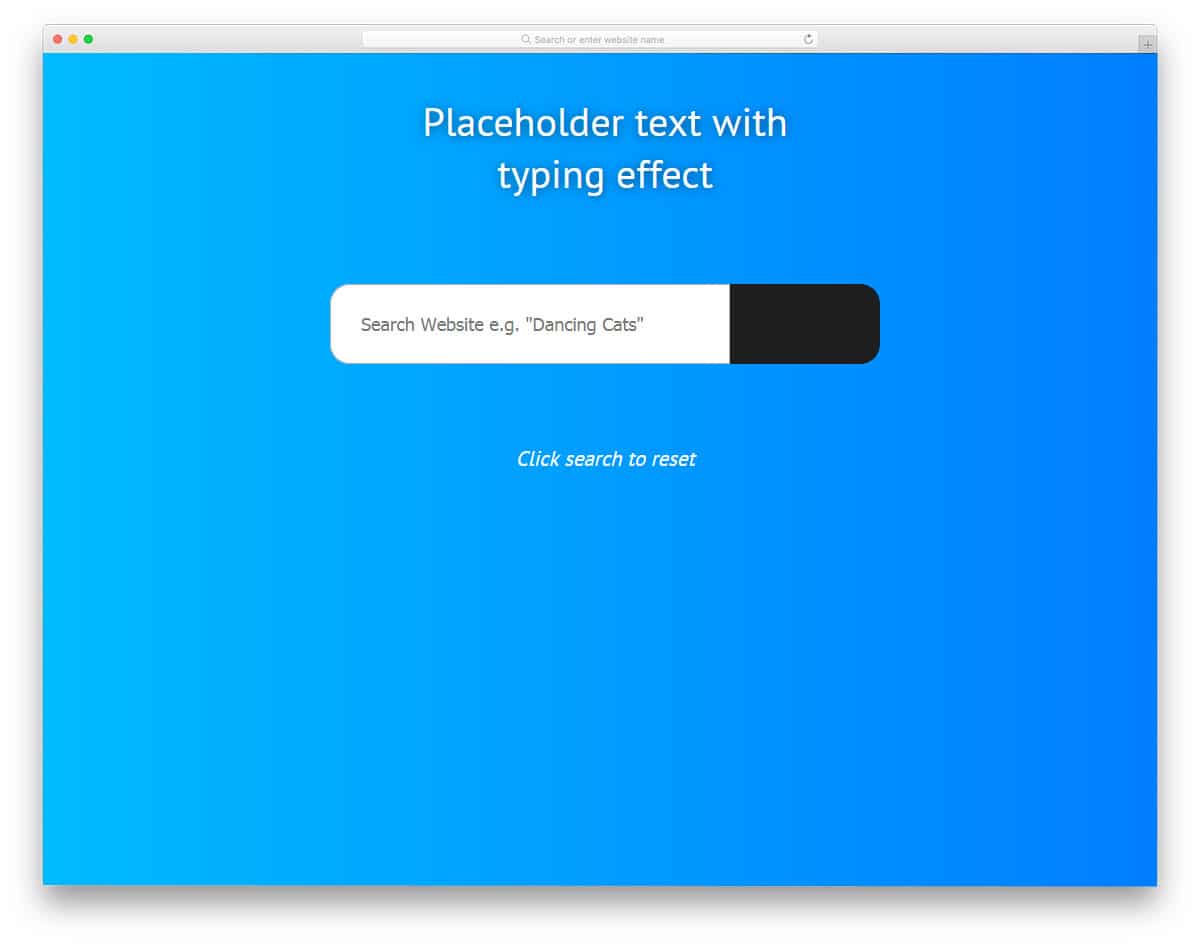 Placeholder-Typing-Text