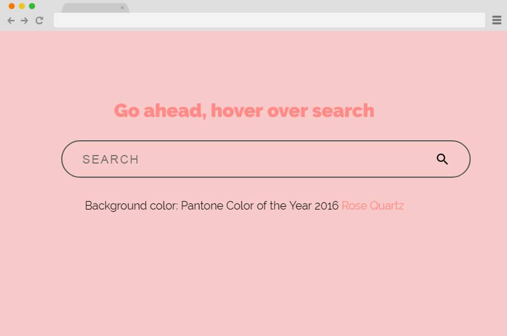 CSS Effect for Search Input html search box