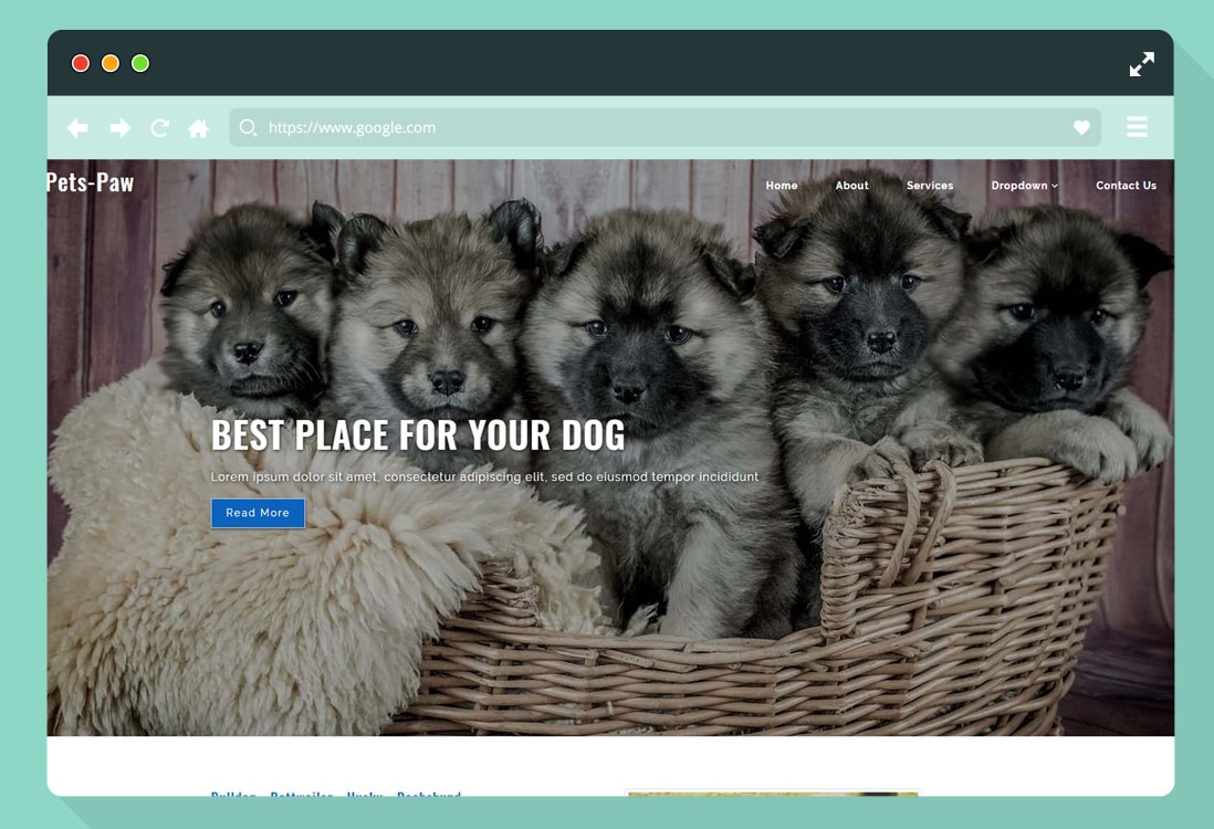 free-animal-pet-website-template