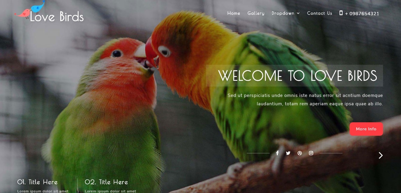 love birds animal and pets website template