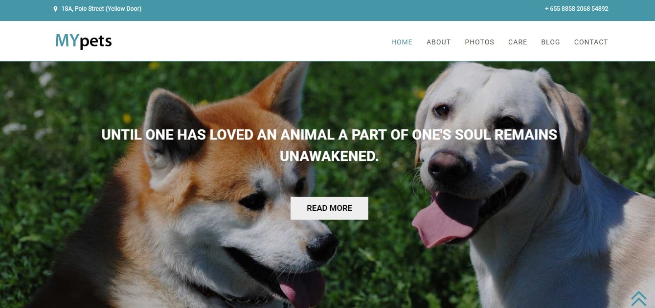 my pets animal and pets website template