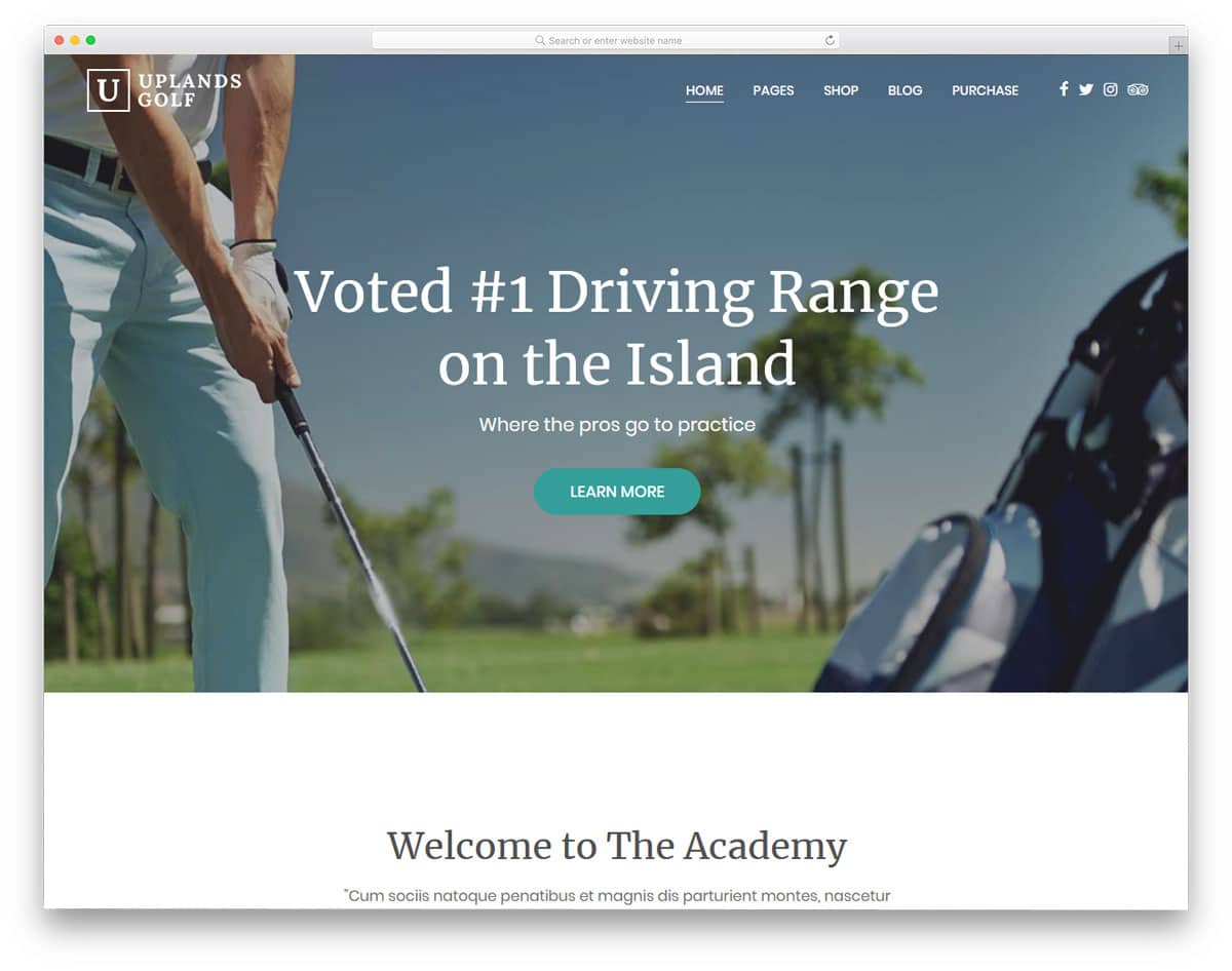 properly designed wordpress golf themes with all the necessary options