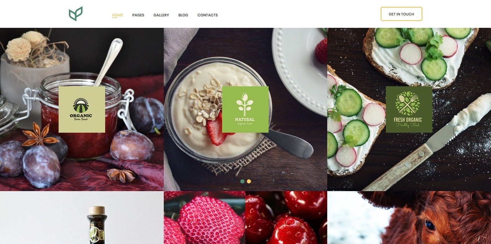 agricom-food-blog-website-template