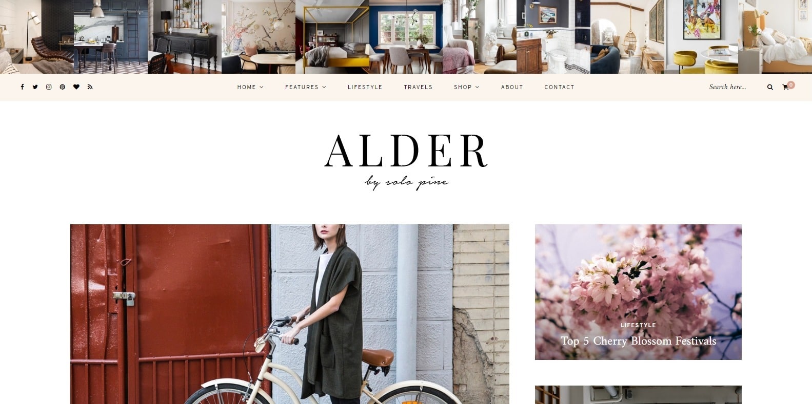 alder-food-blog-website-template