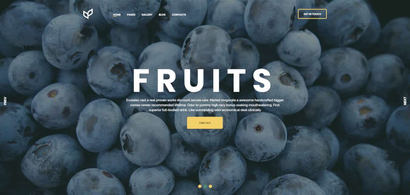 food website templates agricom