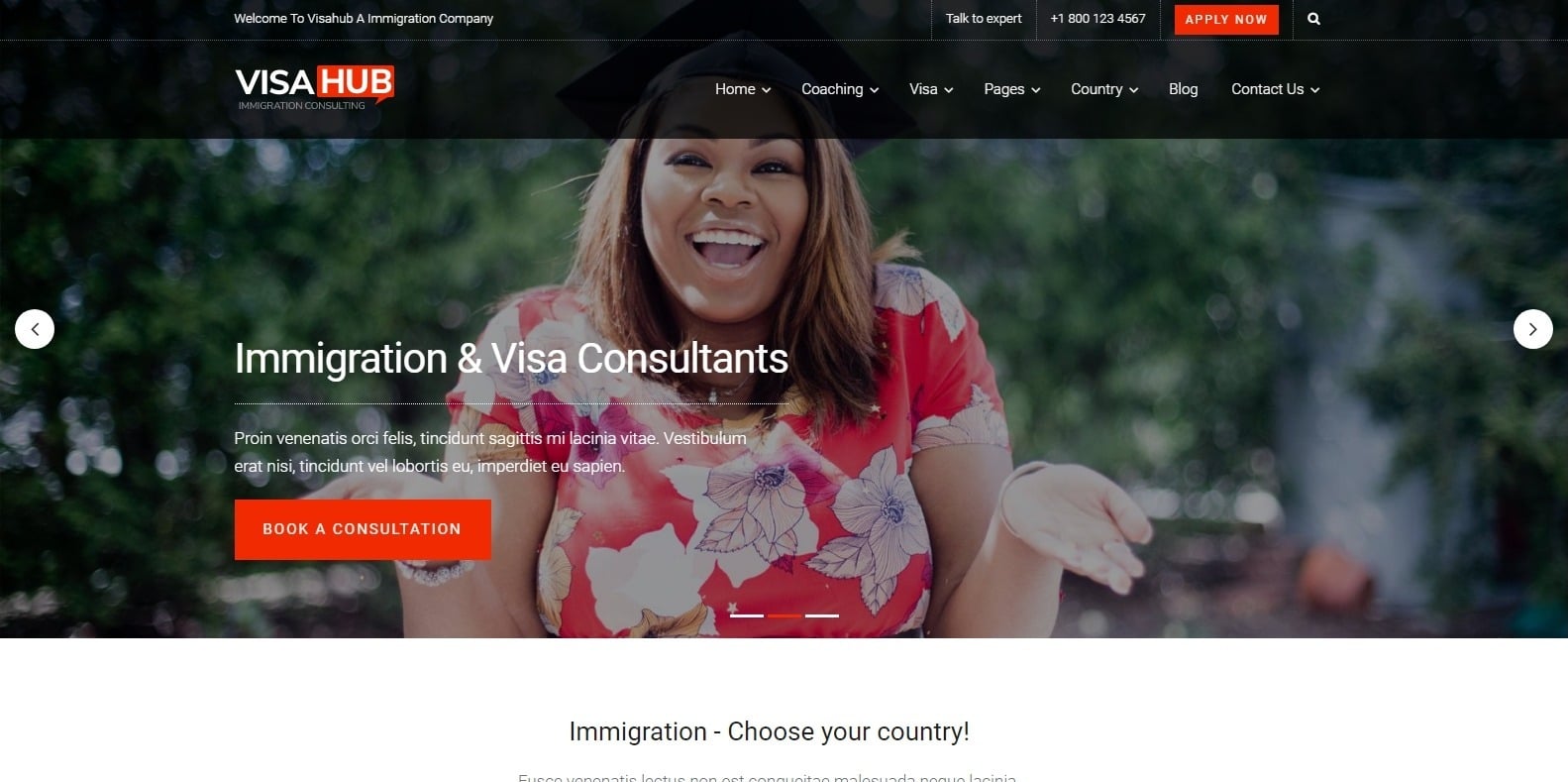 visa-hub-consulting-website-template