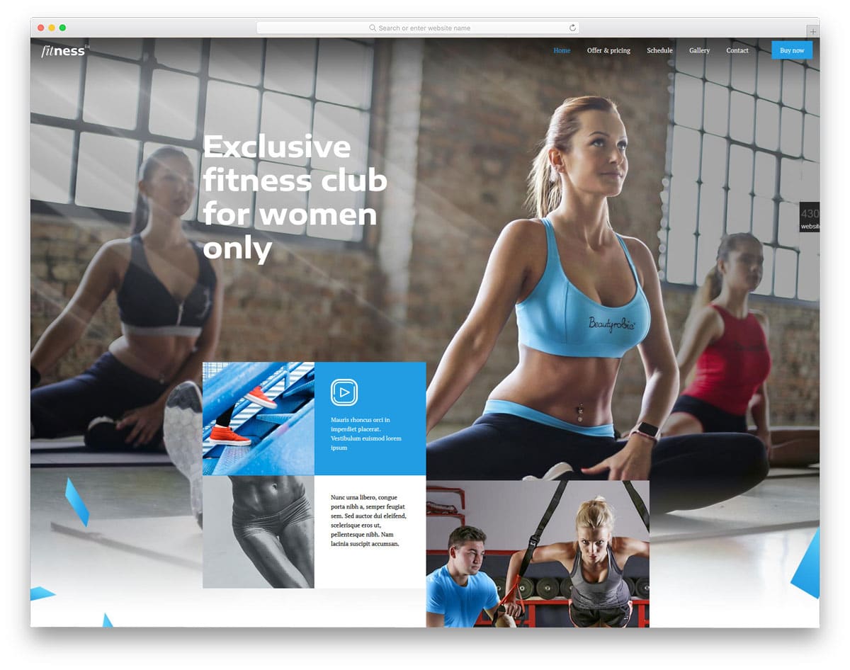 interactive wordpress theme fitness studios