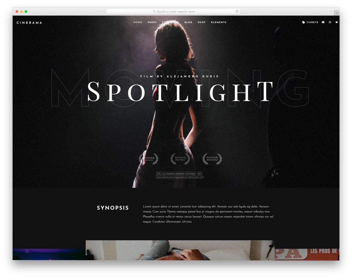 WordPress themes for film makers