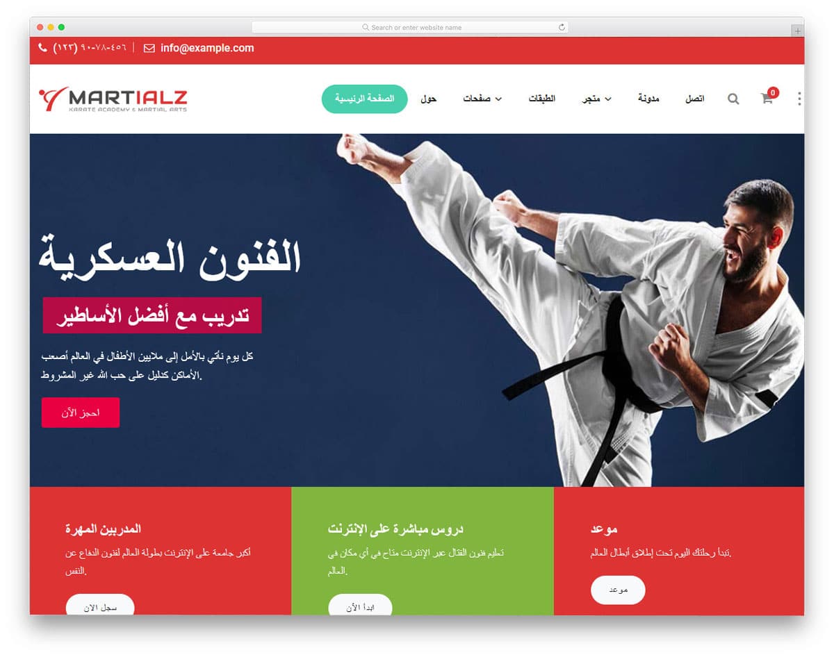 martial arts wordpress themes with RTL support
