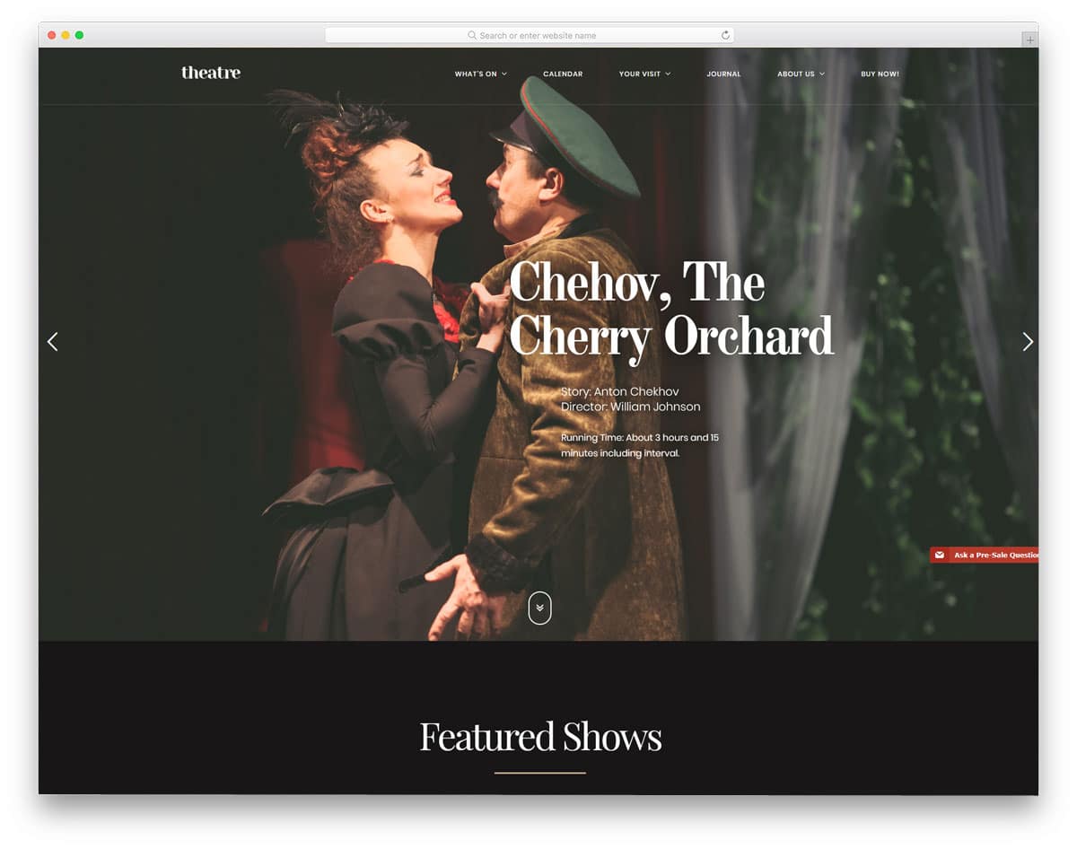 wordpress themes for theaters and theater artists