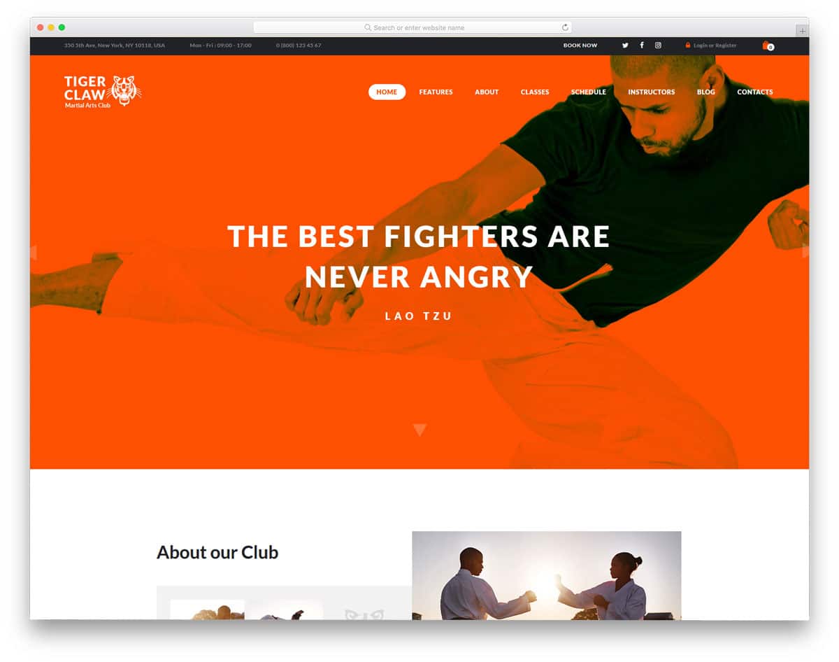 martial arts wordpress themes for personal trainer