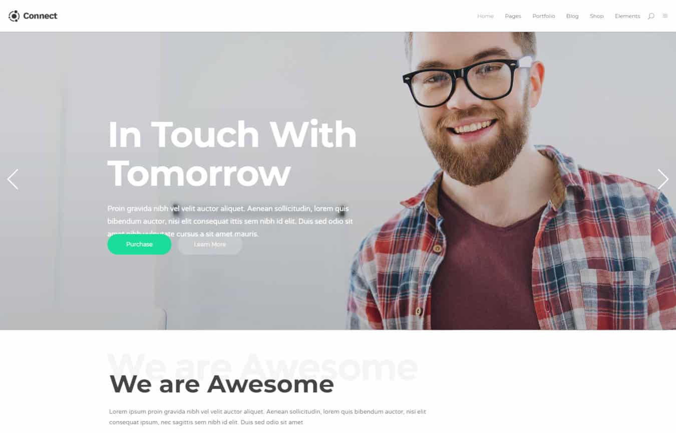 software company websites templates connect