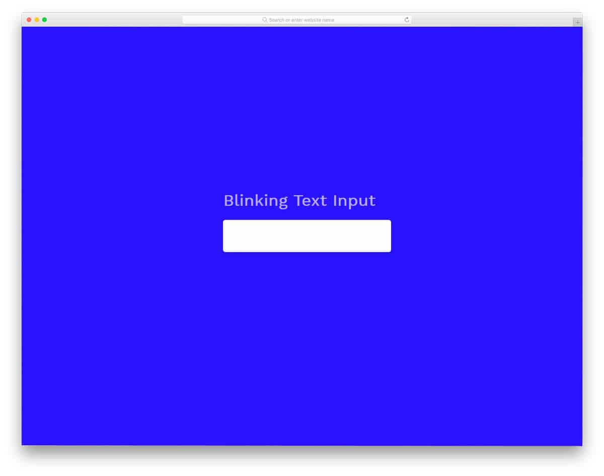 css input text field with subtle animation