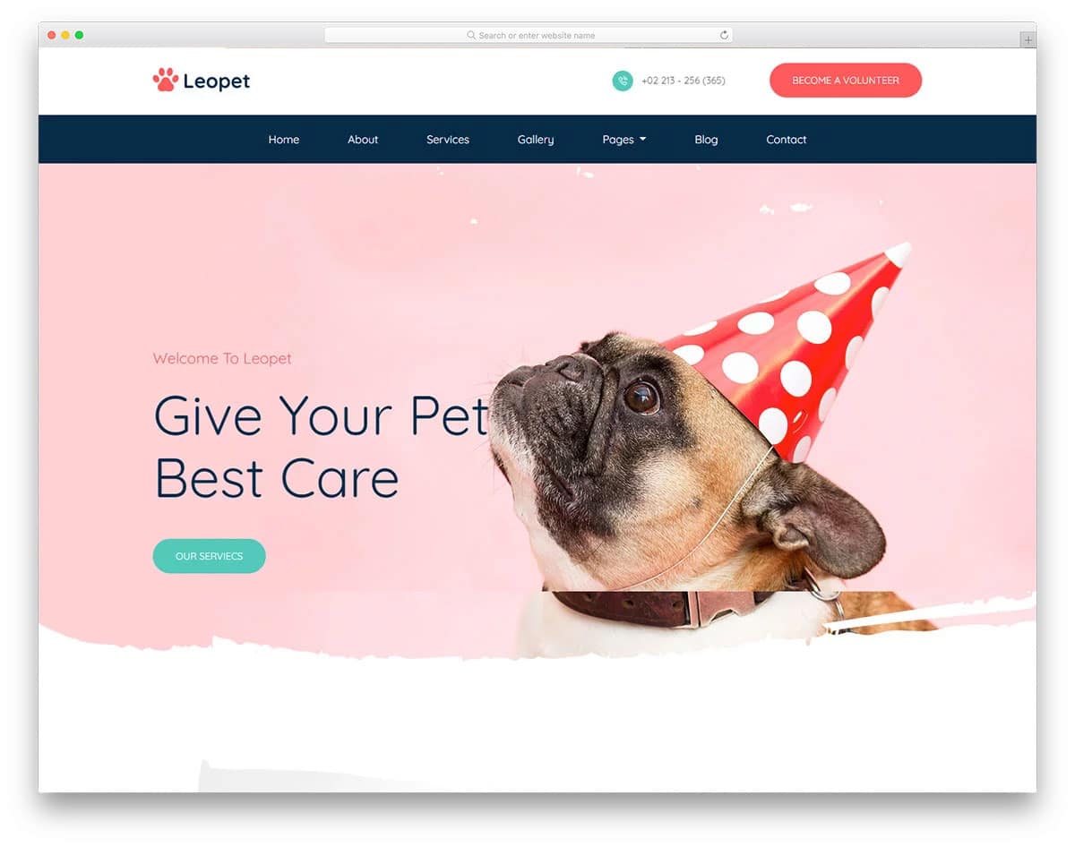 animal care website template