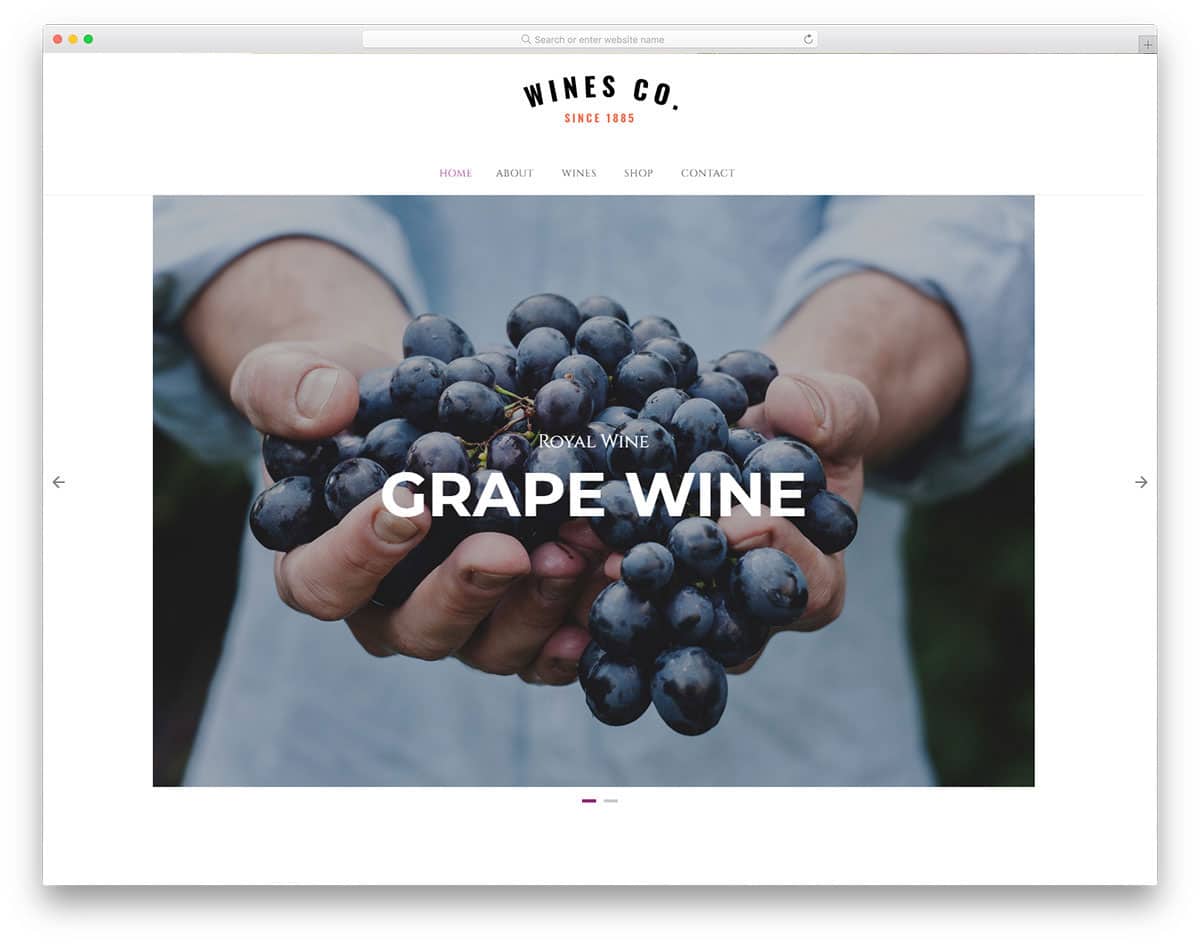online store for wine businesses