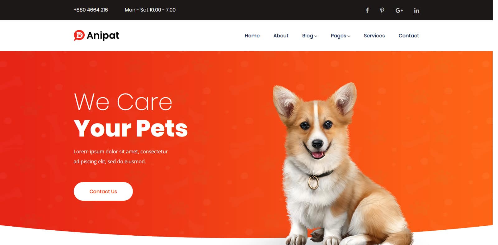 40 Free Animal & Pets Website Template For Animal Based Sites 2022
