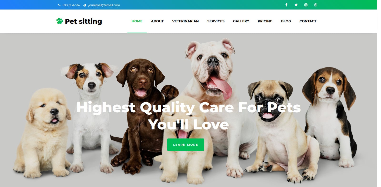 pet-sitting-animal-website-template
