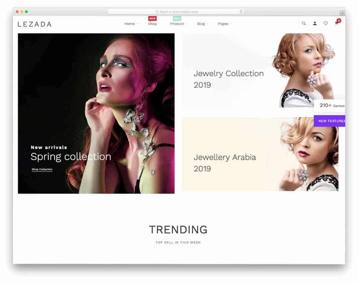 colorful and attractive Shopify jewelry themes