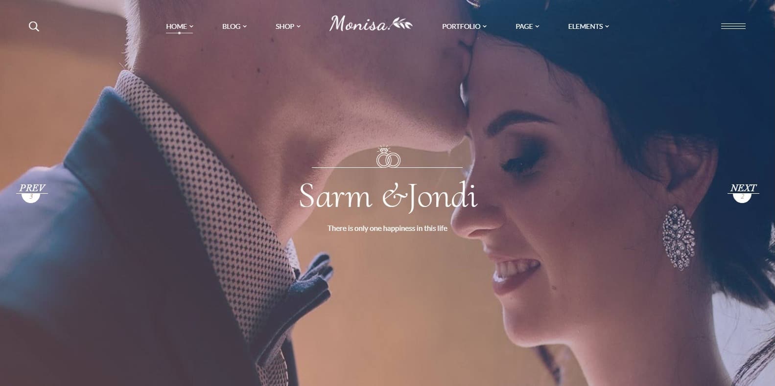 monisa-family-reunion-website-template