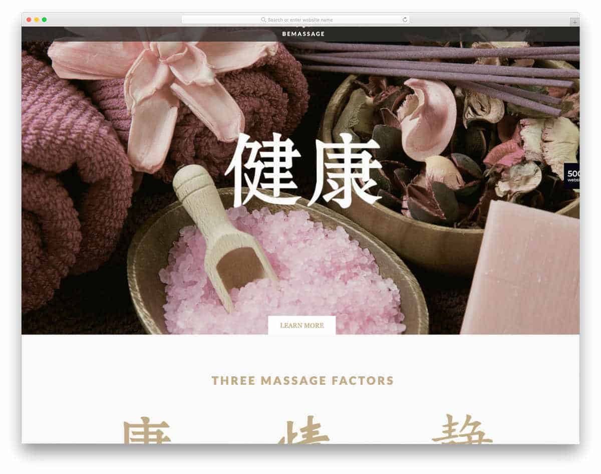 traditional looking acupuncture website templates