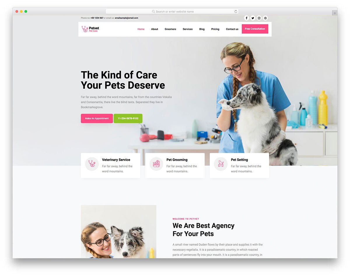 animal and pet healthcare website template