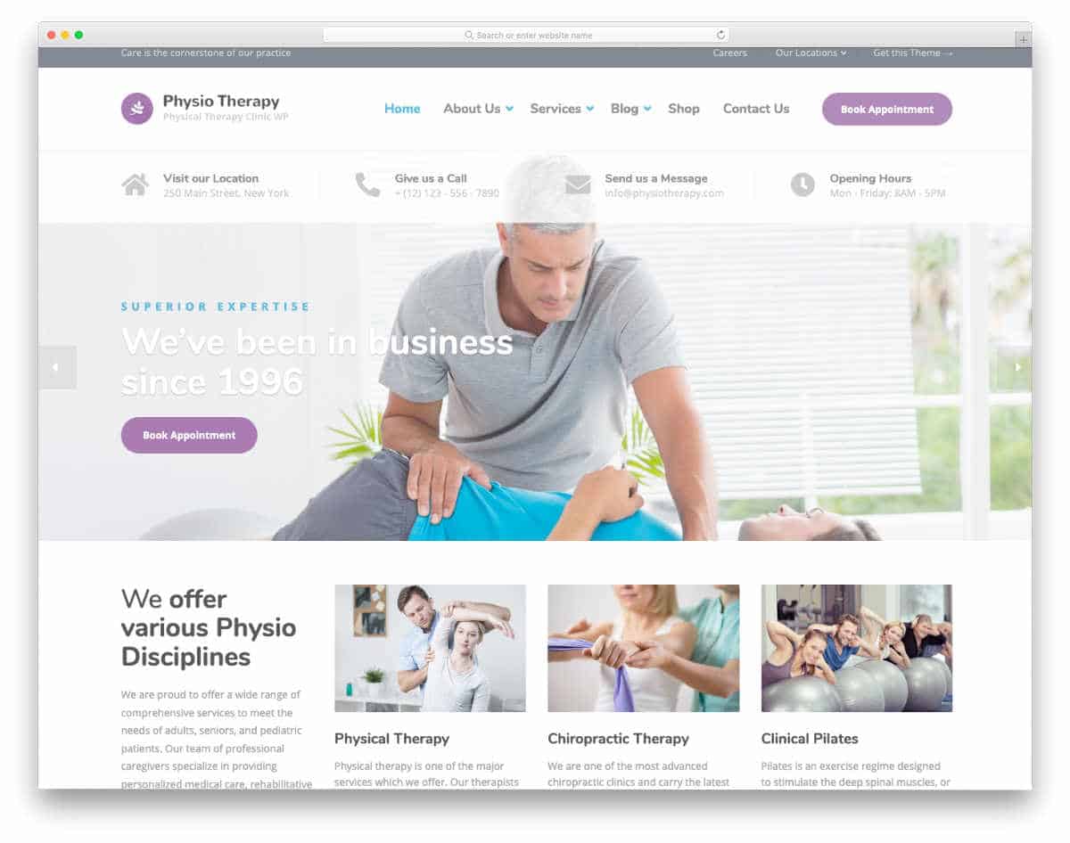 easy to customize acupuncture website templates 