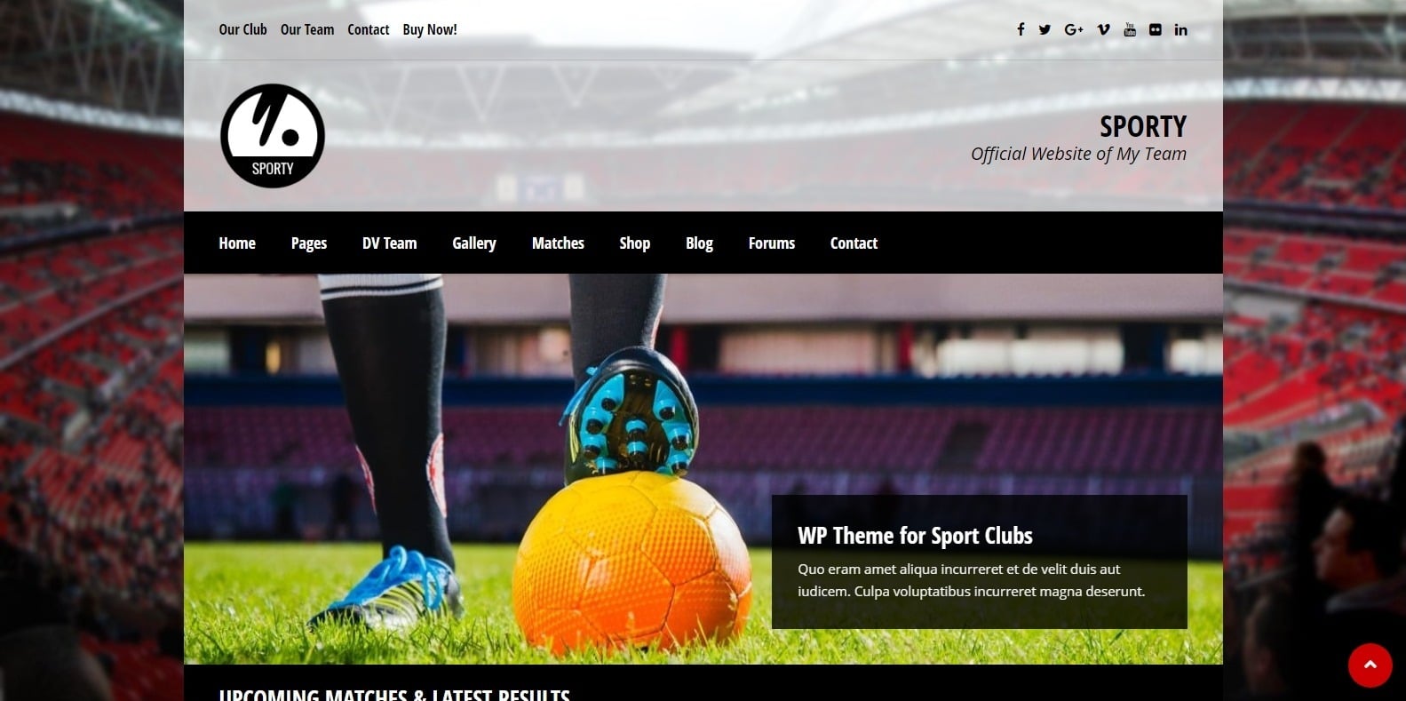 sporty-softball-website-template-wordpress