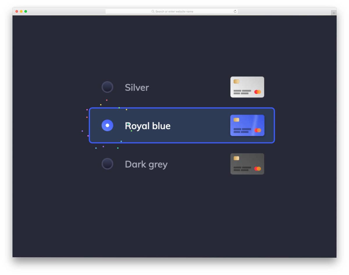 radio button for selecting credit card type