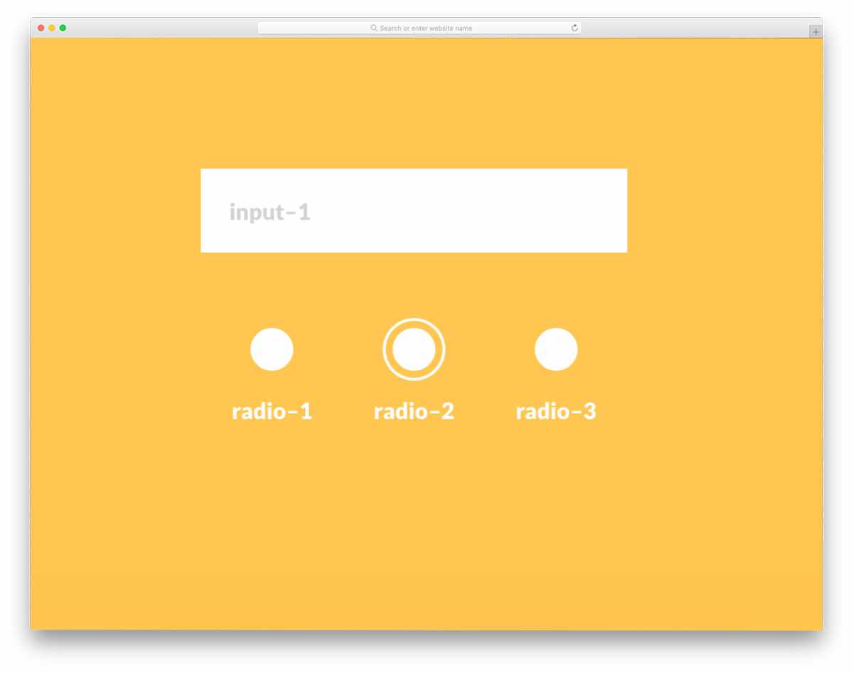 simple radio button input design