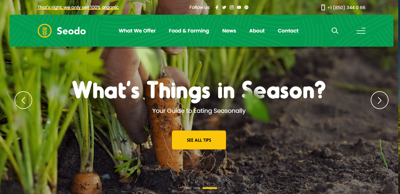 seodo-agriculture-website-template