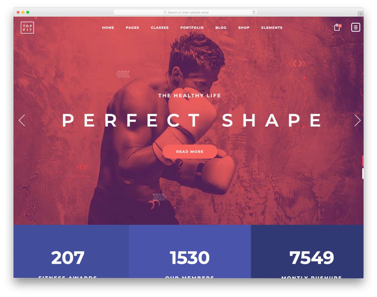 colorful and interactive WordPress martial arts website templates