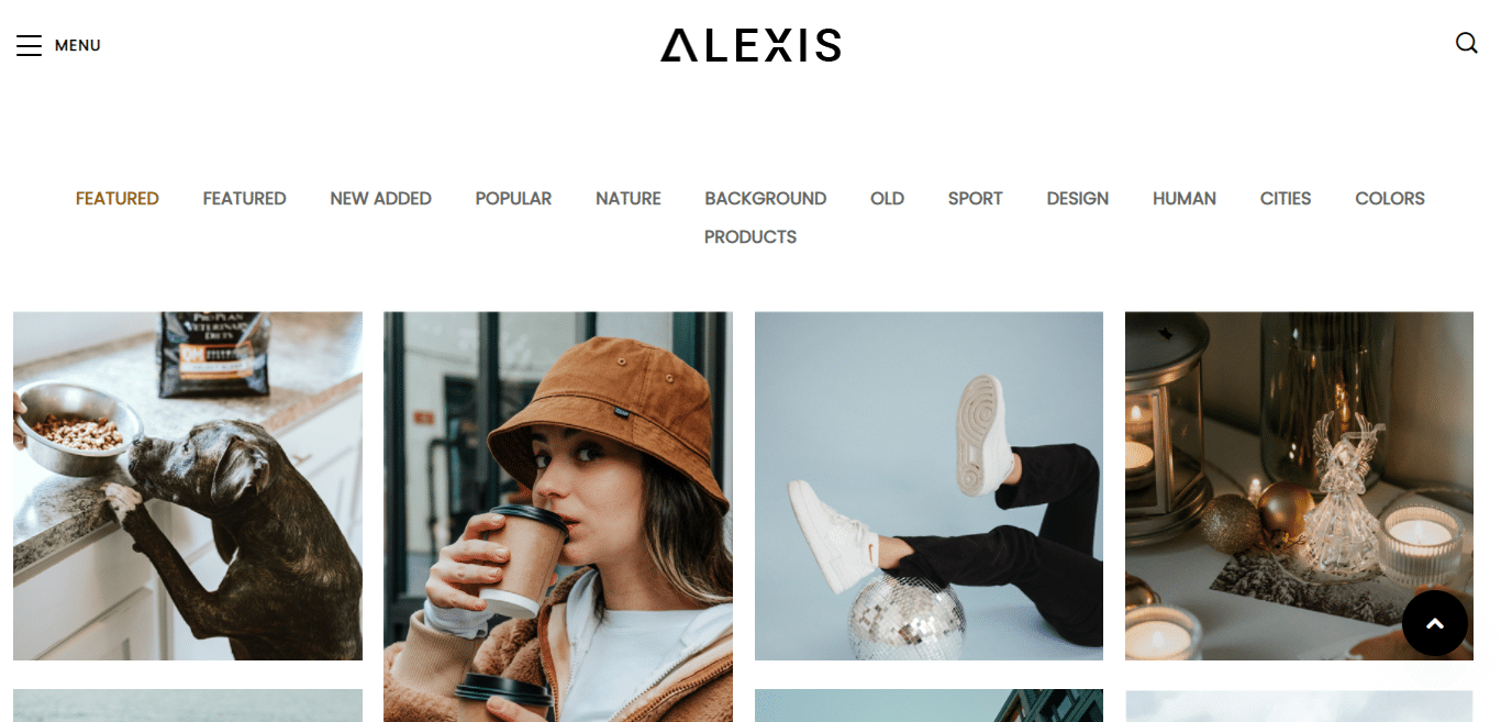 alexis-photo-gallery-website-template